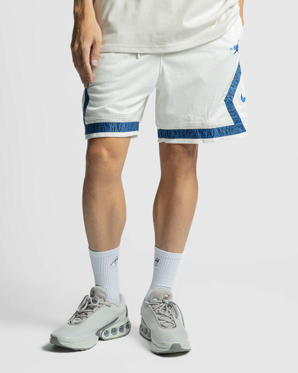 Air Jordan x Awake NY Shorts | FQ5449-134 | AFEW STORE